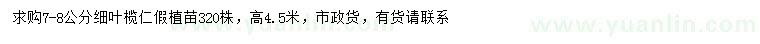 求購7-8公分細葉欖仁