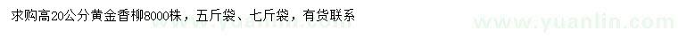 求購高20公分黃金香柳