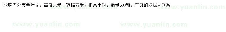 求購高6米金葉榆