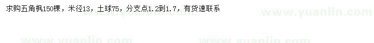 求購米徑13公分五角楓