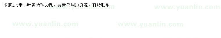 求購1.5米小葉黃楊球