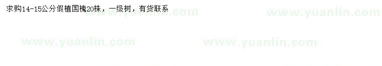 求購(gòu)14-15公分國(guó)槐