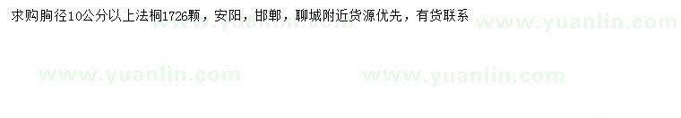 求購胸徑10公分以上法桐