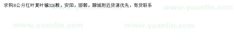 求購8公分紅葉復(fù)葉槭