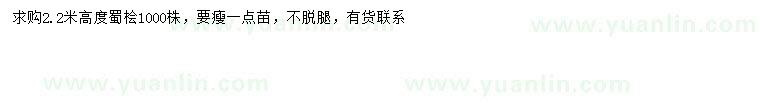 求購高2.2米蜀檜