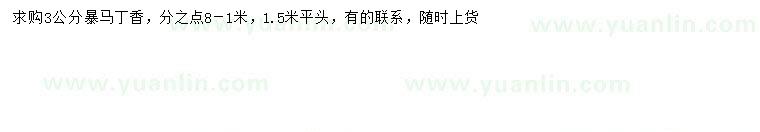 求購3公分暴馬丁香
