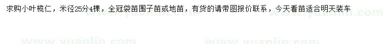 求購米徑25公分小葉欖仁