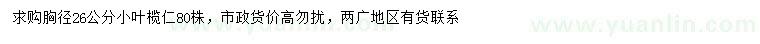 求購胸徑26公分小葉欖仁