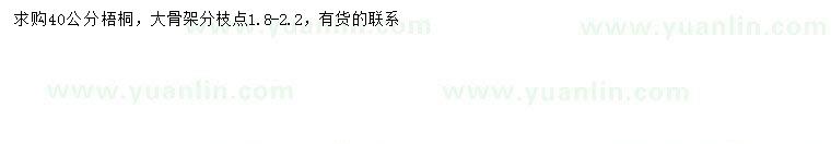 求購40公分梧桐