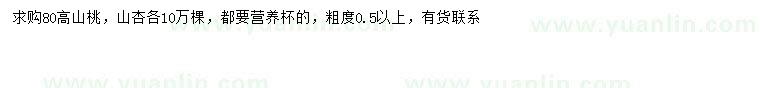 求購(gòu)高80公分山桃、山杏