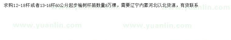 求購(gòu)60公分以上榆樹
