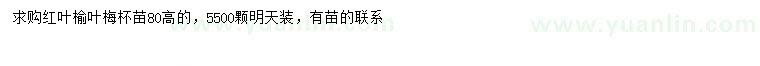 求購高80公分紅葉榆葉梅