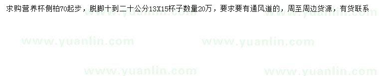 求購70公分以上側(cè)柏