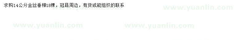 求購14公分金絲垂柳