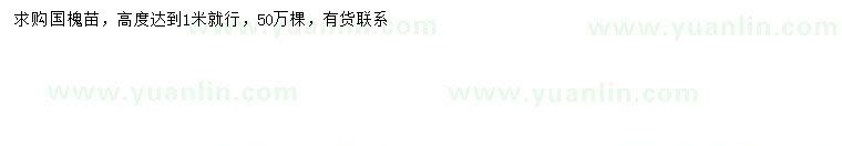 求購高1米國槐