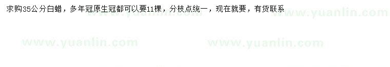 求購35公分白蠟