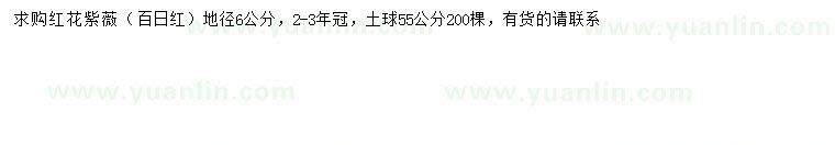 求購地徑6公分紅花紫薇