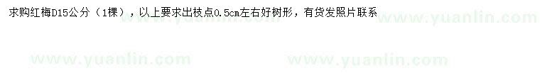 求購地徑15公分紅梅