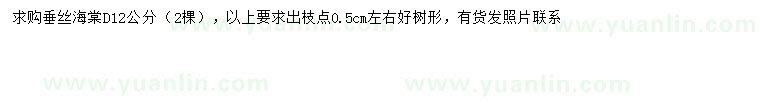 求購(gòu)地徑12公分垂絲海棠