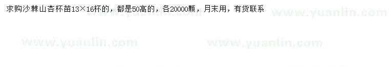 求購高50公分沙棘、山杏