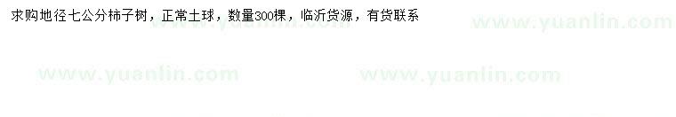 求購地徑7公分柿子樹
