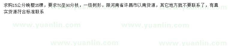 求購15公分晚櫻