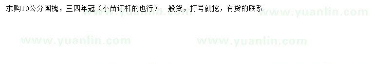 求購10公分國槐