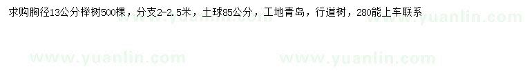求購胸徑13公分櫸樹