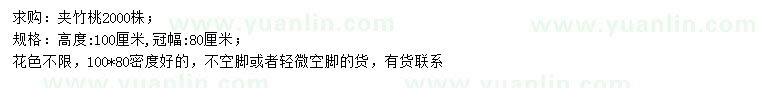求購高100公分夾竹桃