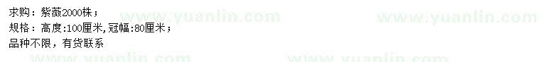 求購(gòu)高100公分紫薇
