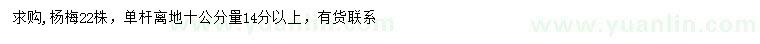 求購10量14公分以上楊梅