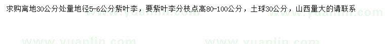 求購30量5-6公分紫葉李