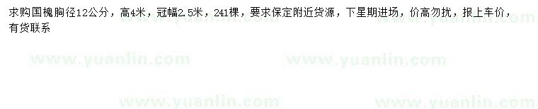 求購胸徑12公分國槐