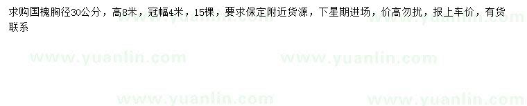 求購胸徑30公分國槐