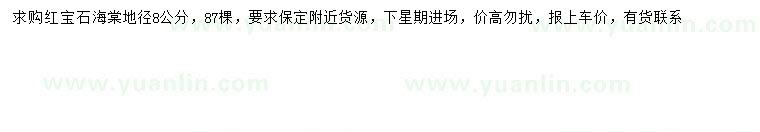 求購地徑8公分紅寶石海棠
