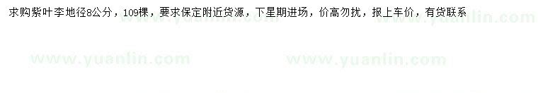 求購地徑8公分紫葉李