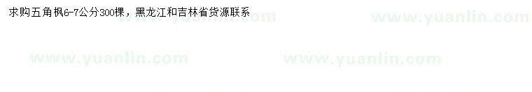 求購6-7公分五角楓