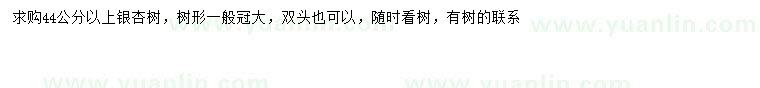 求購(gòu)44公分以上銀杏樹(shù)