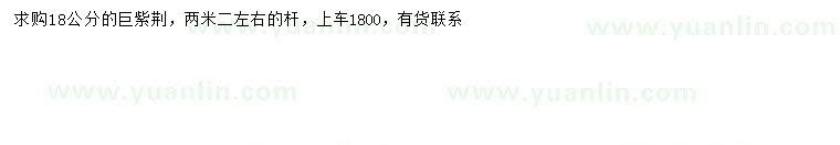 求購(gòu)18公分巨紫荊