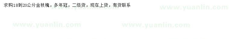 求購(gòu)18-20公分金枝槐