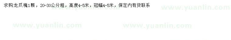 求購(gòu)20-30公分龍爪槐