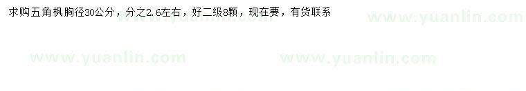求購胸徑30公分五角楓