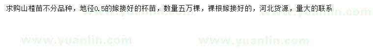 求購地徑0.5公分山楂