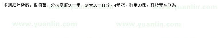 求購30量10-11公分細葉紫薇