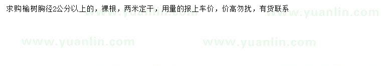 求購胸徑2公分以上榆樹