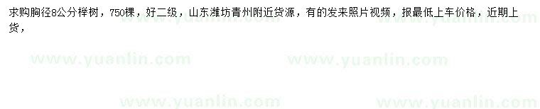 求購胸徑8公分櫸樹