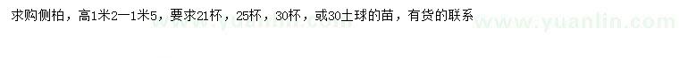 求購高1.2-1.5米側(cè)柏