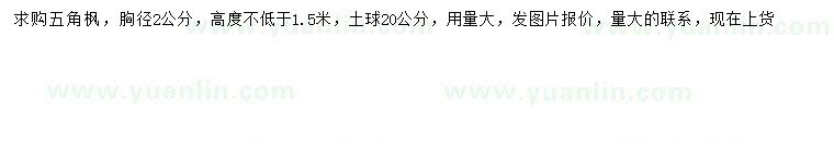 求購胸徑2公分五角楓