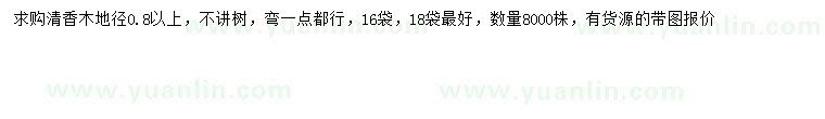 求購地徑0.8公分以上清香木