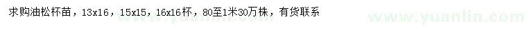求購0.8-1米油松